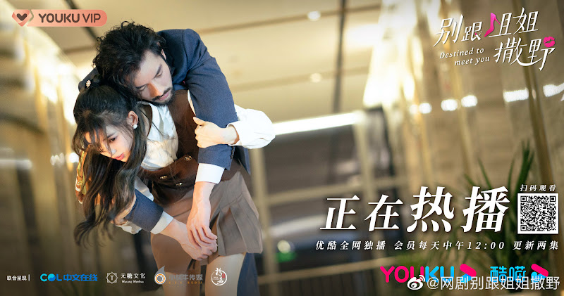 Destined to Meet You / Lovely Sister China Web Drama